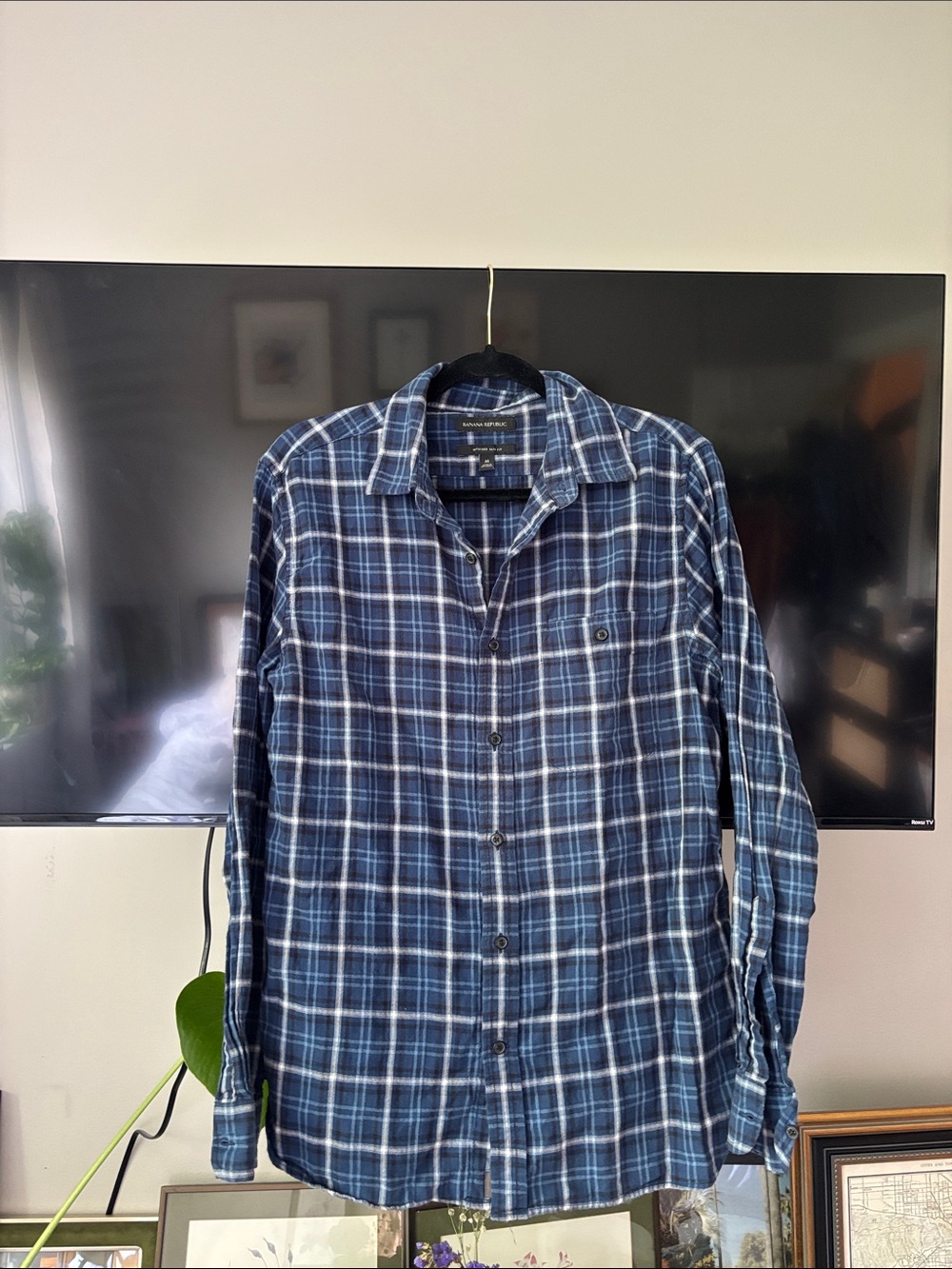 Banana Republic Blue and White Plaid Button-Down Shirt